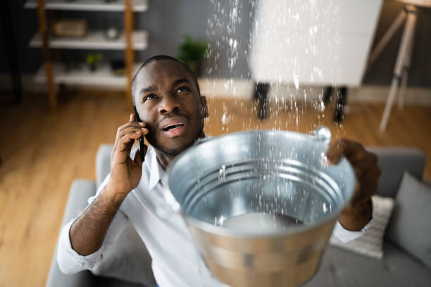 Best Local water damage restoration  in Estill, SC