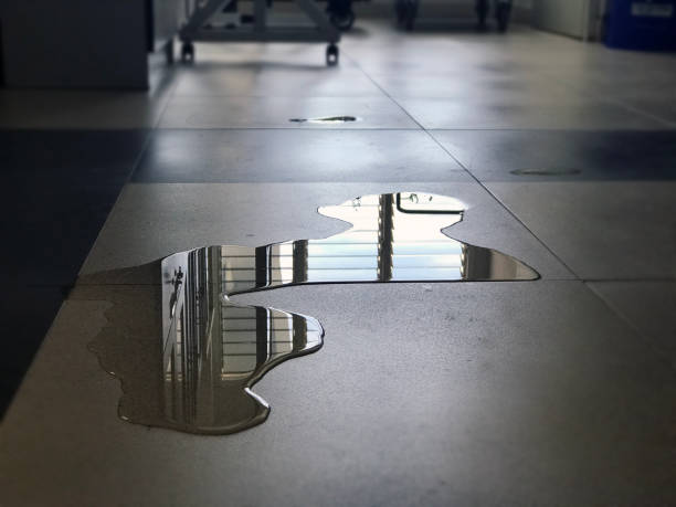 Best 24-hour water damage restoration  in Estill, SC
