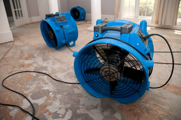 Best Sewage cleanup and water damage restoration  in Estill, SC