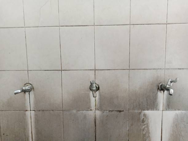 Best Water damage cleanup near me  in Estill, SC