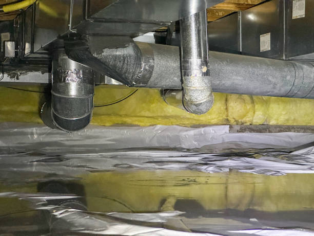 Carpet water damage restoration in Estill, SC