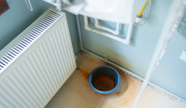 Best Emergency water damage restoration  in Estill, SC