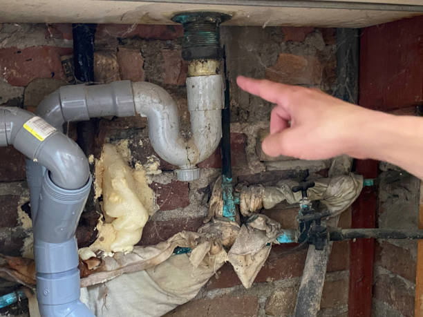 Sewage cleanup and water damage restoration in Estill, SC