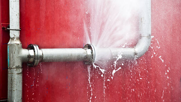 Best Mold removal after water damage  in Estill, SC