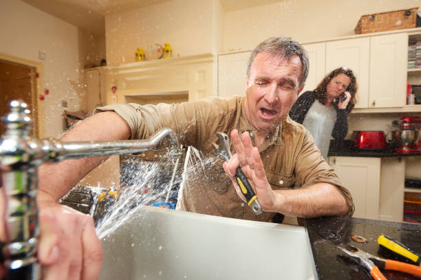 Best Water damage restoration specialists  in Estill, SC